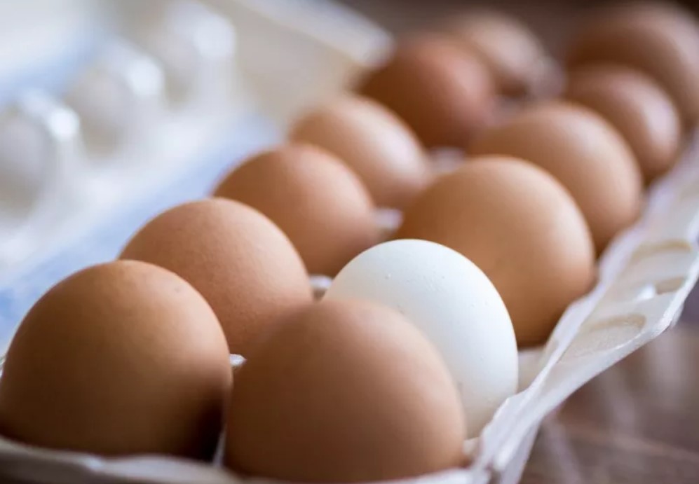 Salmonella nelle uova: prodotti e lotti ritirati (da non mangiare)