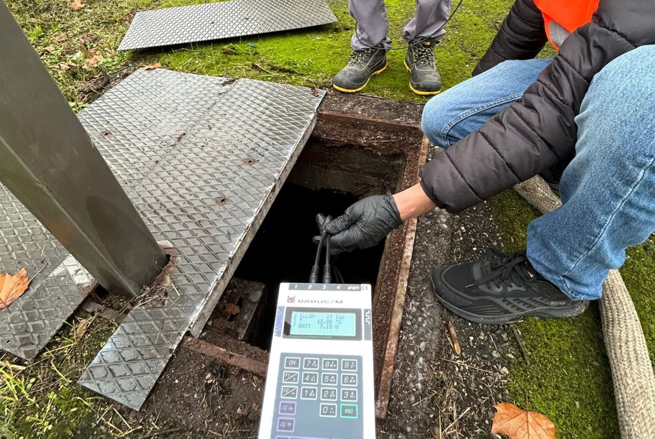 Sempre più zanzare ed allergie da pollini. Il Comune di Alessandria gioca d’anticipo