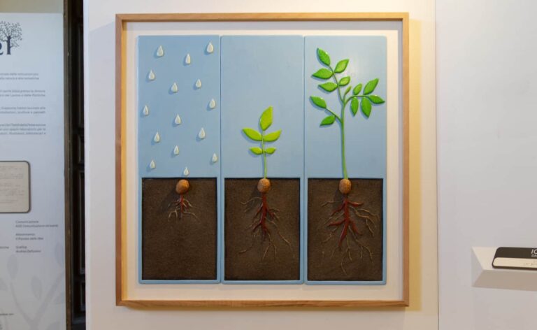 Storie sulle dita: alberi. A Palazzo Chigi mostra tattile e multisensoriale accessibile ai non vedenti