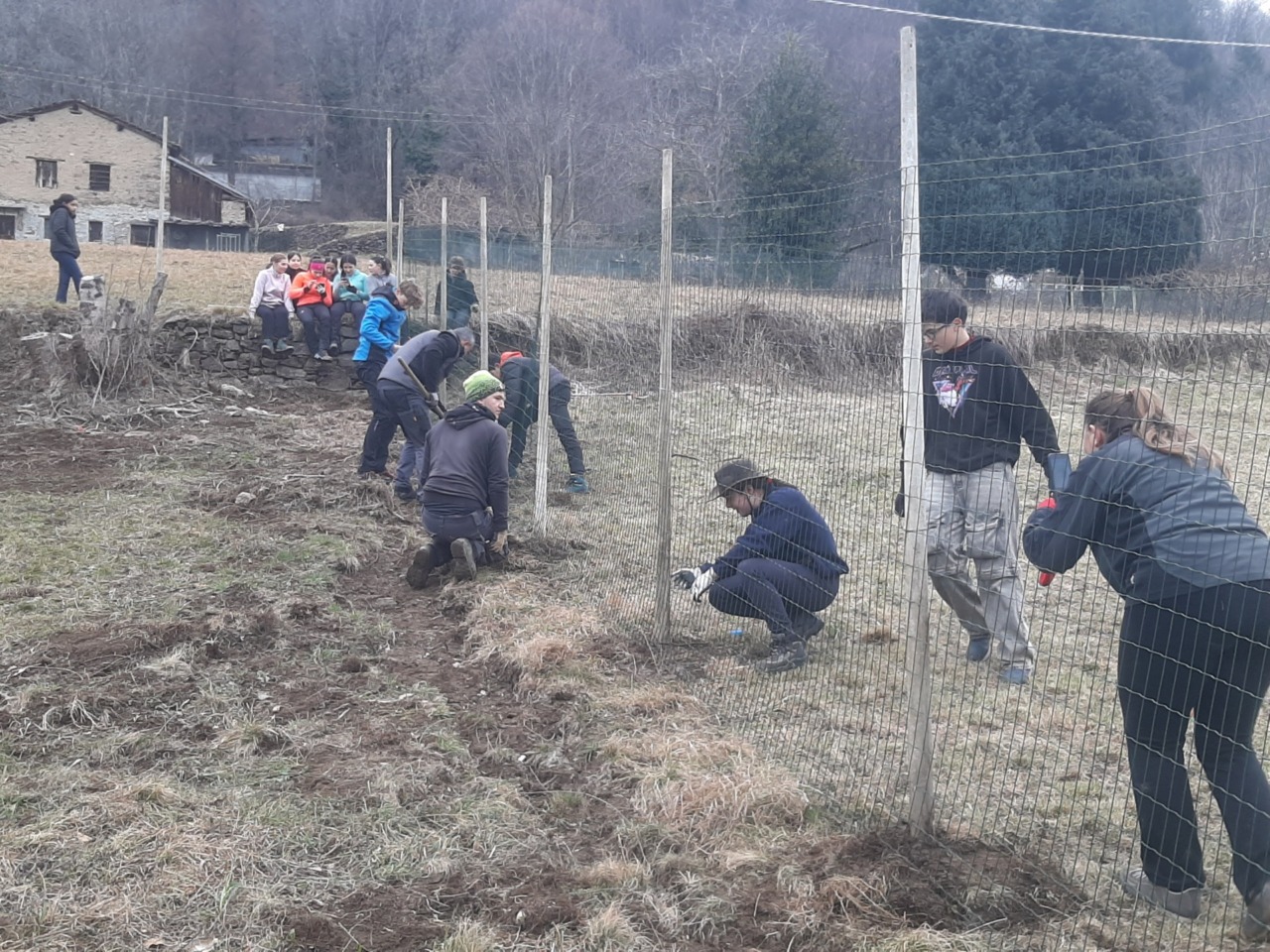 Studenti del Marco Polo di Colico al lavoro a Vendrogno per recuperare un vigneto