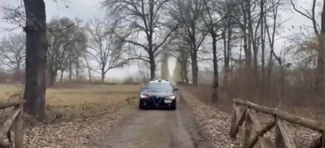 Stupinigi, morte Enrica Bardotti: proseguono le indagini dei carabinieri, arrestato il figlio