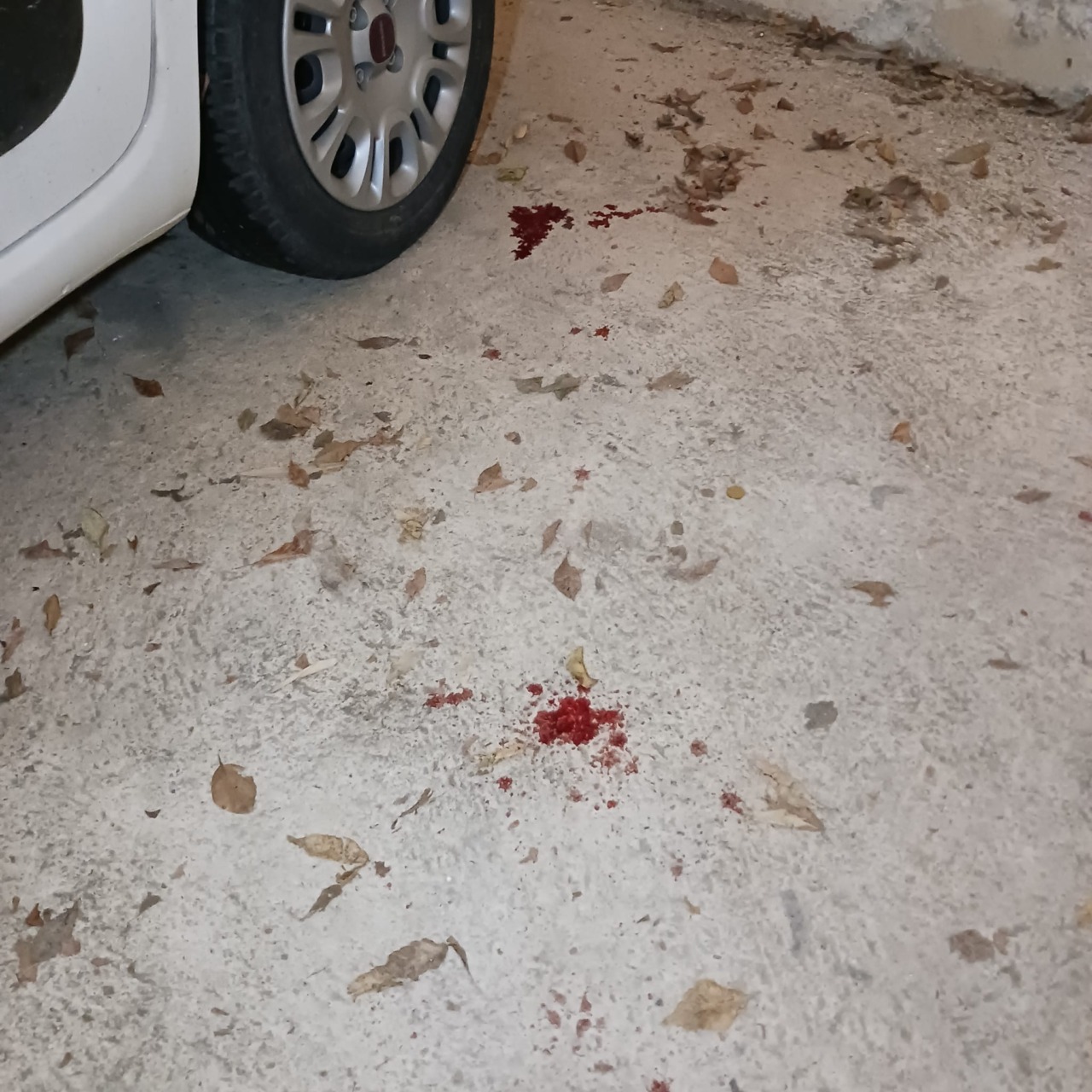 Tre rapine in tre settimane, il tabaccaio finito in ospedale: “Comprero’ una pistola per difendermi”