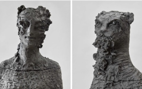 Un nuovo progetto pluriennale in arrivo nei Giardini dell’Accademia Carrara di Bergamo