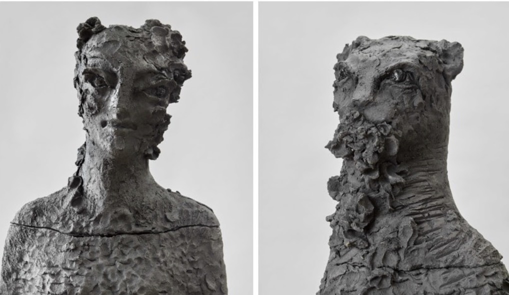 Un nuovo progetto pluriennale in arrivo nei Giardini dell’Accademia Carrara di Bergamo