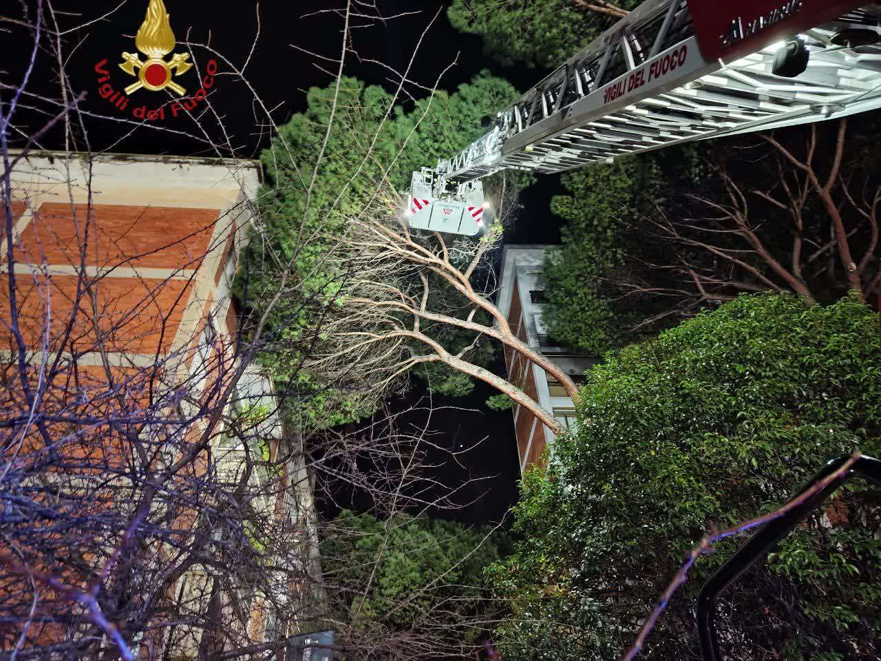 Domani la riapertura parziale di Via dei Fori Imperiali