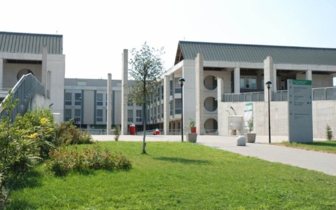 A Baggiovara si parla di epilessia