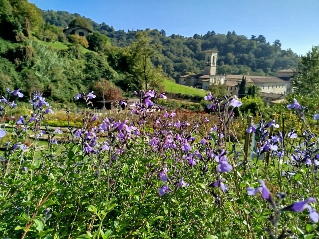 All’Orto Botanico Lorenzo Rota di Astino è arrivata la prima tartufaia pubblica di Bergamo