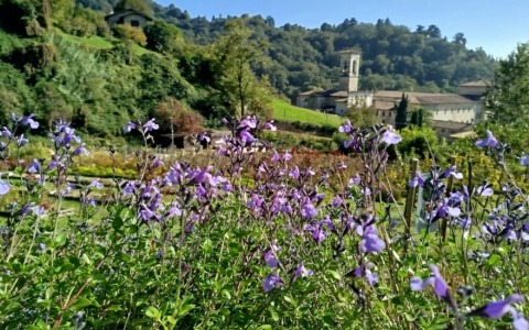 All’Orto Botanico Lorenzo Rota di Astino è arrivata la prima tartufaia pubblica di Bergamo