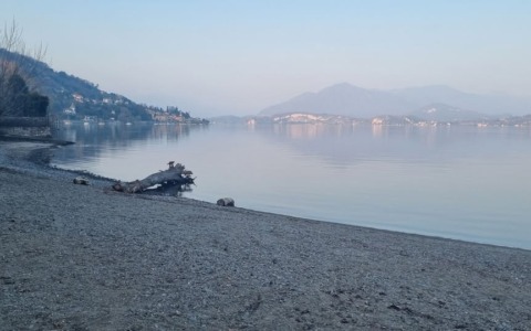 Approvato il progetto esecutivo per la rinaturalizzazione della spiaggia di Madonna di Campagna a Lesa