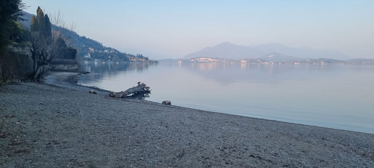 Approvato il progetto esecutivo per la rinaturalizzazione della spiaggia di Madonna di Campagna a Lesa