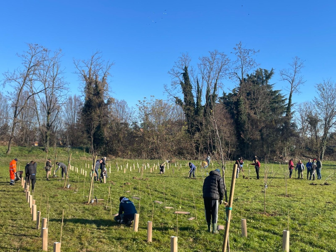 Boschi e foreste urbane: Città metropolitana investe 3 milioni di euro. I Comuni interessati dell’Adda Martesana