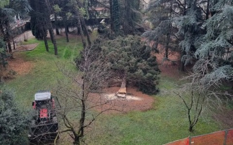 Circolo ambiente: “In via Volta, uno scempio ambientale”