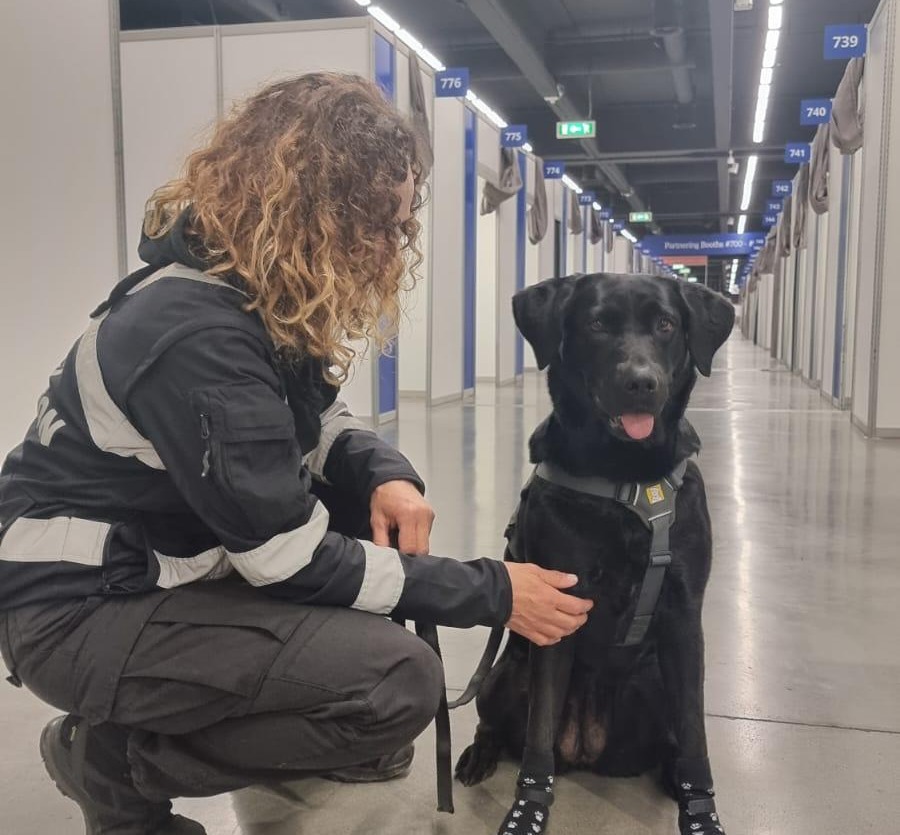 Controlli antidroga a Lecco: entra in azione l’unità cinofila con Palma