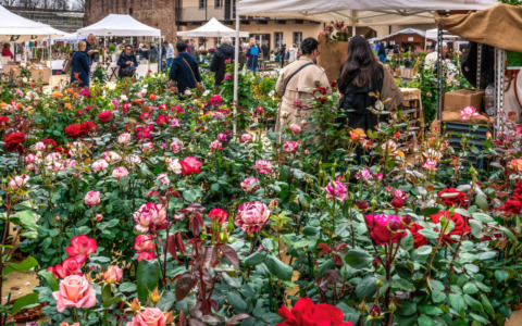 Cosa fare in Piemonte nel weekend: gli eventi di sabato 28 e domenica 29 marzo 2026