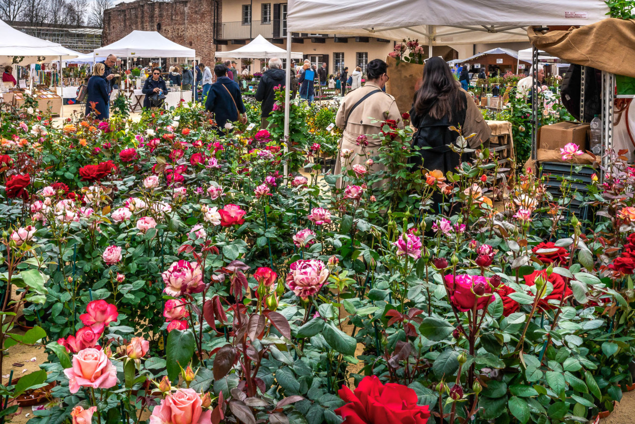Cosa fare in Piemonte nel weekend: gli eventi di sabato 28 e domenica 29 marzo 2026