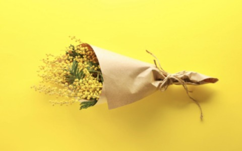 Festa della donna: gli eventi in programma a Brescia e in provincia