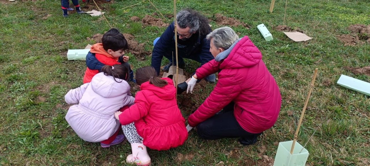 Forestami a Gessate: nuove piantagioni lungo via Monza