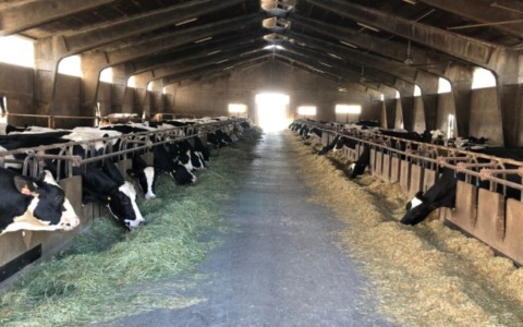 Grande partecipazione all’incontro di ATS Brianza con gli allevatori