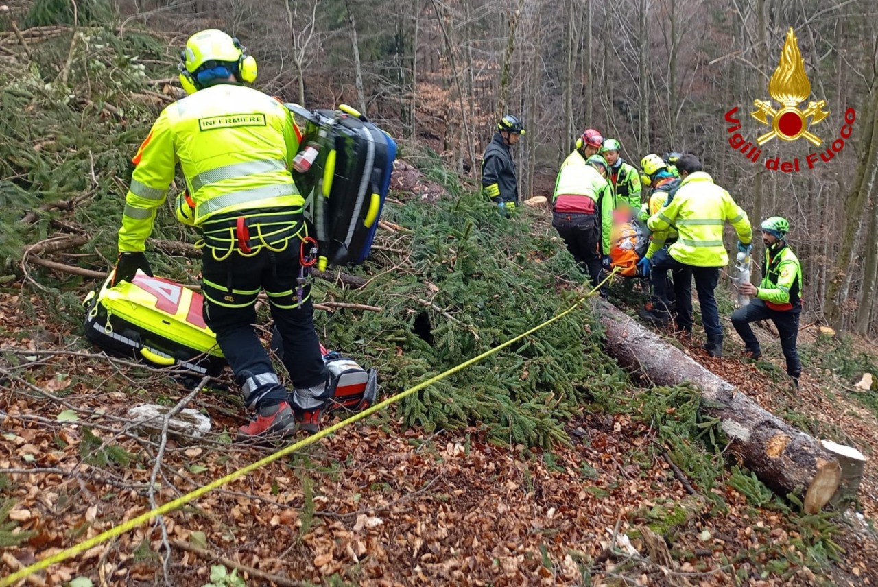 Incidenti sul lavoro: colpito in testa da un tronco mentre taglia gli alberi, muore 48enne