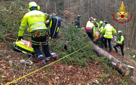 Incidenti sul lavoro: colpito in testa da un tronco mentre taglia gli alberi, muore 48enne