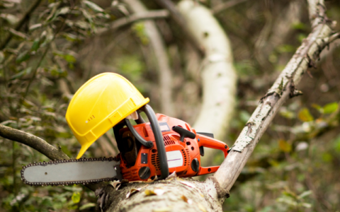 Incidenti sul lavoro: si taglia la gamba con la motosega e muore