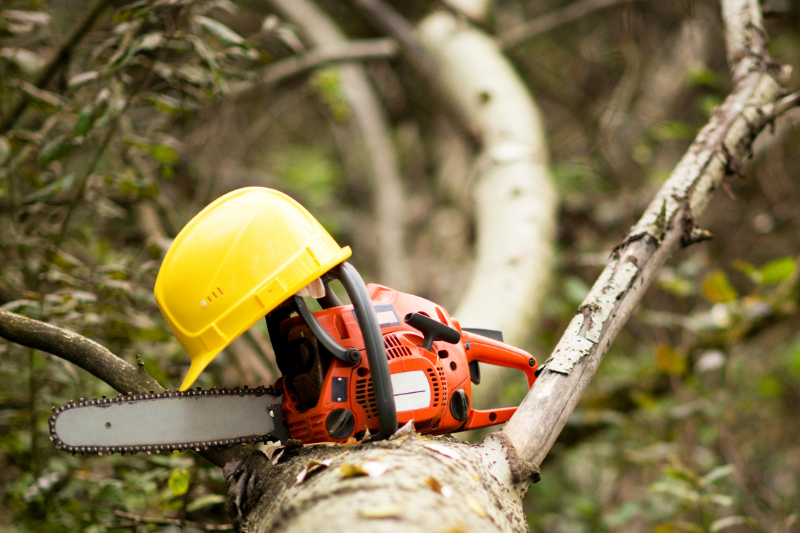 Incidenti sul lavoro: si taglia la gamba con la motosega e muore