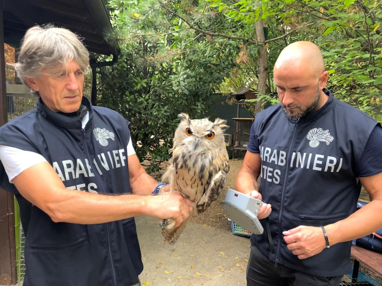 La Giornata Mondiale della Fauna Selvatica