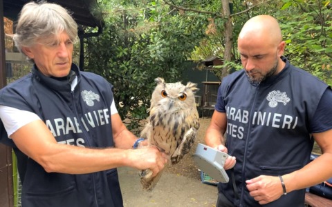 La Giornata Mondiale della Fauna Selvatica