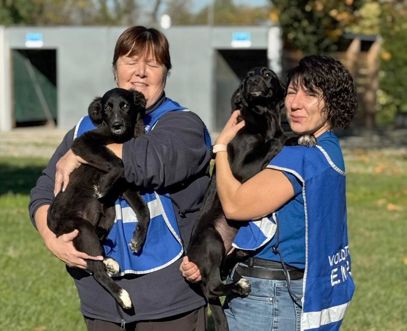Meno cani in canile, ma l’emergenza sono gatti e altri animali