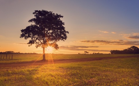 Ora legale permanente: l’Italia apre il dibattito tra economia, salute e… incidenti sul lavoro