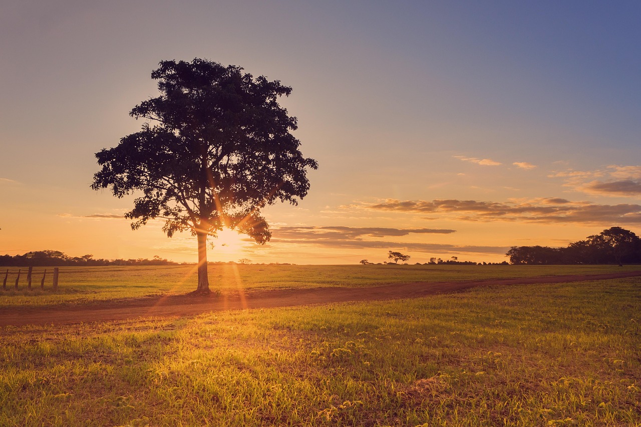 Ora legale permanente: l’Italia apre il dibattito tra economia, salute e… incidenti sul lavoro