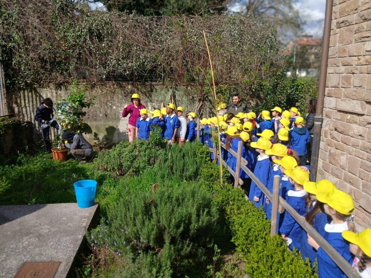 “Piantiamo Salute” nelle scuole: a dimora ulivi, limoni e mimose