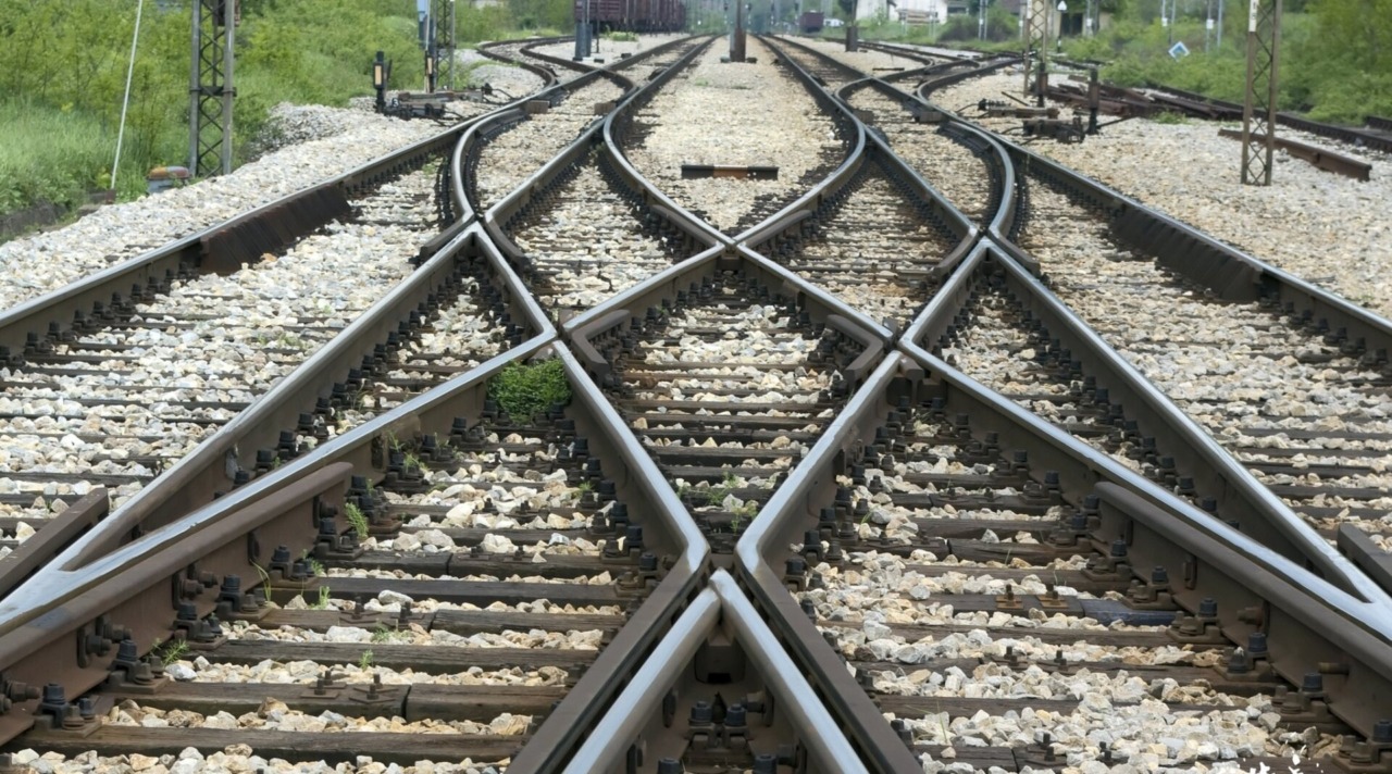 Rami sui binari tra Oggiono e Molteno: interrotta la linea ferroviaria