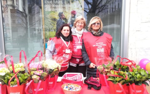 Regala una Gardensia per fermare la sclerosi multipla