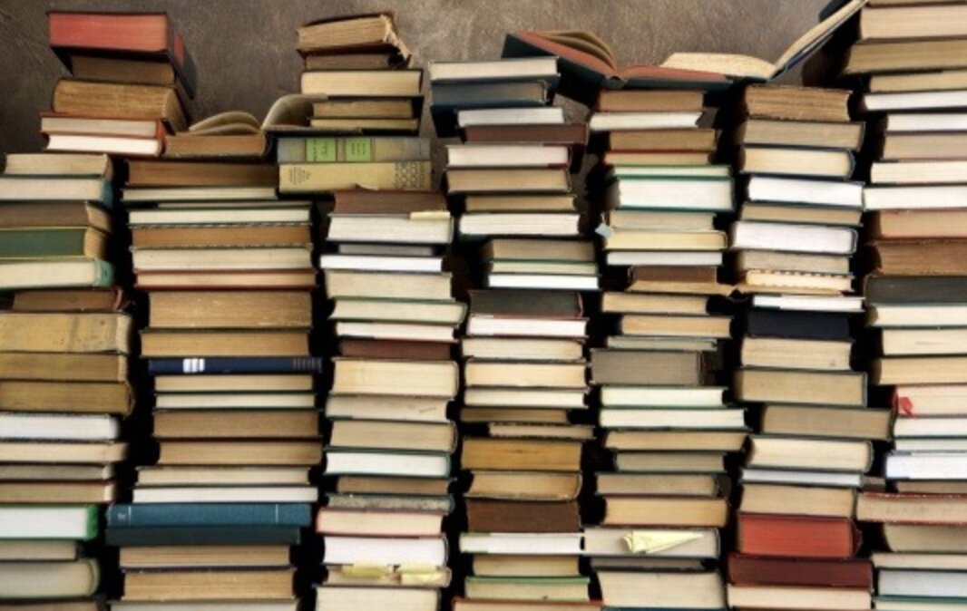 Rete Bibliotecaria Bresciana: crescita su tutti i fronti con +19% delle presenze