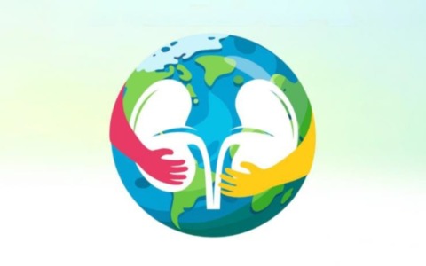 Riflettori puntati sui reni: a Pavia e provincia screening gratuiti contro una malattia che colpisce 1 persona su 10