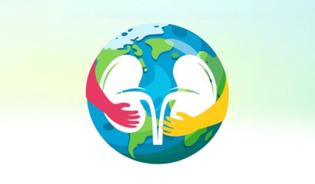 Riflettori puntati sui reni: a Pavia e provincia screening gratuiti contro una malattia che colpisce 1 persona su 10