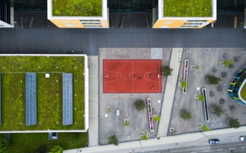 Tetti verdi, nature-base solution per la città contemporanea