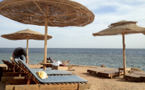 Vanno in vacanza a Sharm e lasciano i 5 figli minori a casa (che finiscono in comunità)