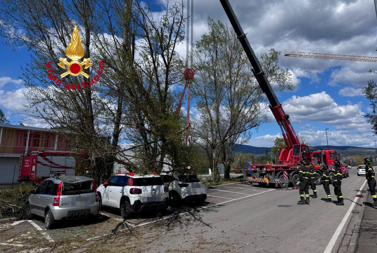 Vento forte, crollano alberi, a Empoli ferita una donna