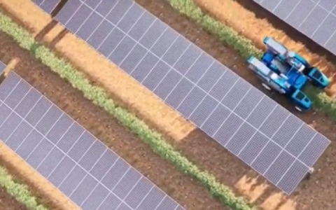 Agrivoltaico: la giunta Cirio fissa i limiti per il consumo di suolo agricolo