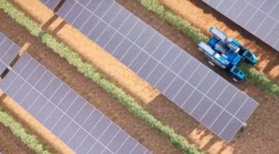 Agrivoltaico: la giunta Cirio fissa i limiti per il consumo di suolo agricolo