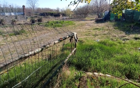 Al via la bonifica: l’area  ex Sinti diventerà il  centro per il verde