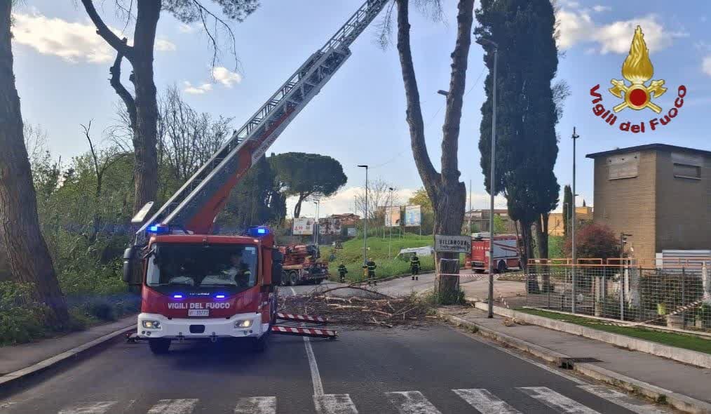 Albero pericolante, l’intervento dei Vigili del Fuoco