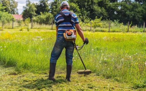 Aree a sfalci ridotti nei parchi: biodiversità e risparmio