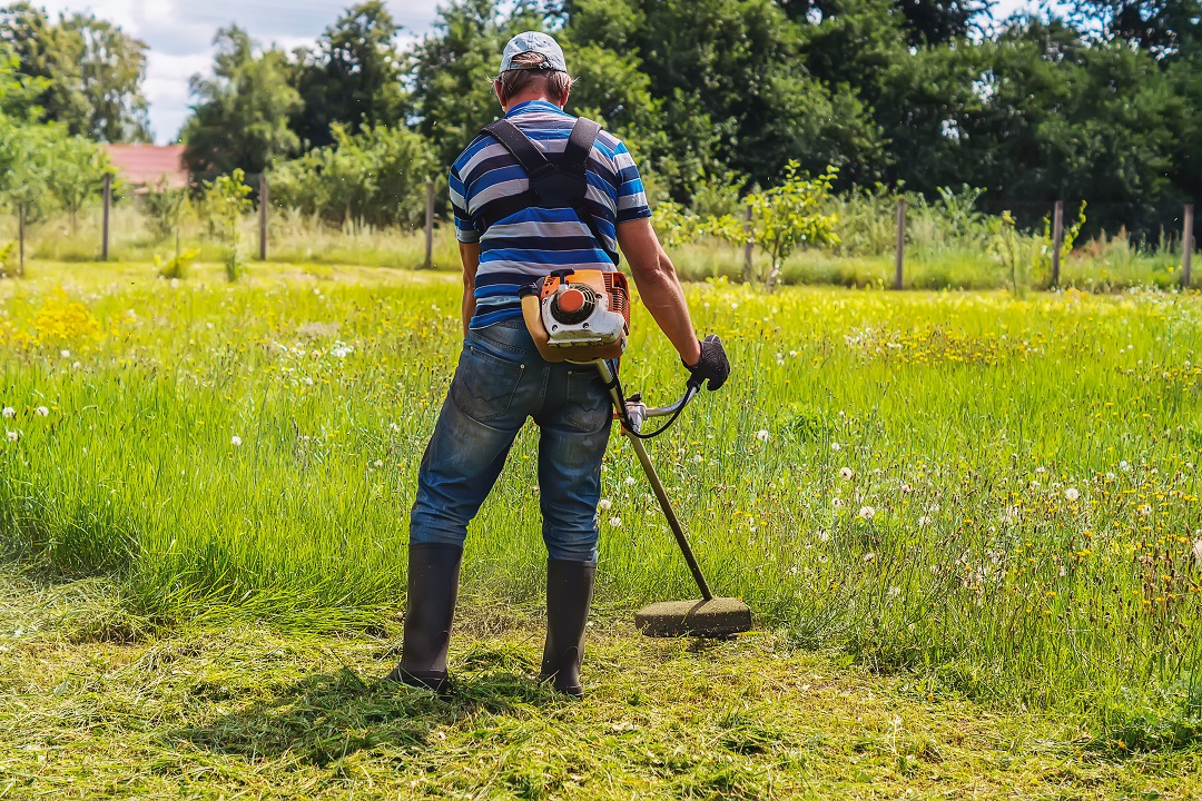 Aree a sfalci ridotti nei parchi: biodiversità e risparmio