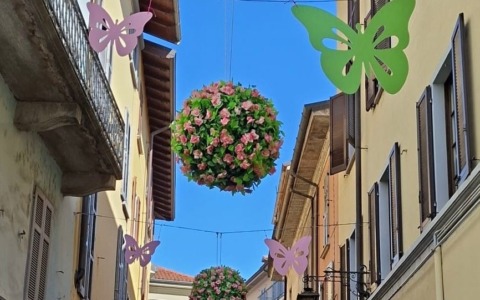 Arona accoglie la bella stagione con nuove installazioni floreali e luminose