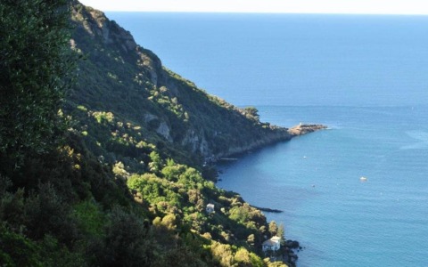 Camogli, chiuso temporaneamente il sentiero per Punta Chiappa per motivi di sicurezza
