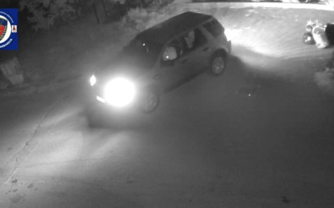 Controlli ambientali e contrasto all’abbandono dei rifiuti: intensificata l’azione della Polizia Locale  nel primo trimestre 2026