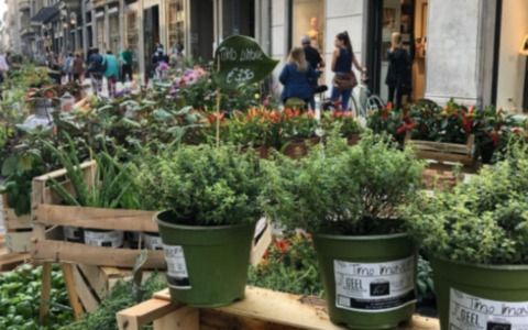 Cosa fare a Cremona e provincia nel weekend: eventi di sabato 18 e domenica 19 aprile 2026